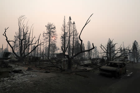 A neighborhood destroyed by the Camp Fire is seen in Paradise, California, U.S., November 17, 2018. REUTERS/Terray Sylvester