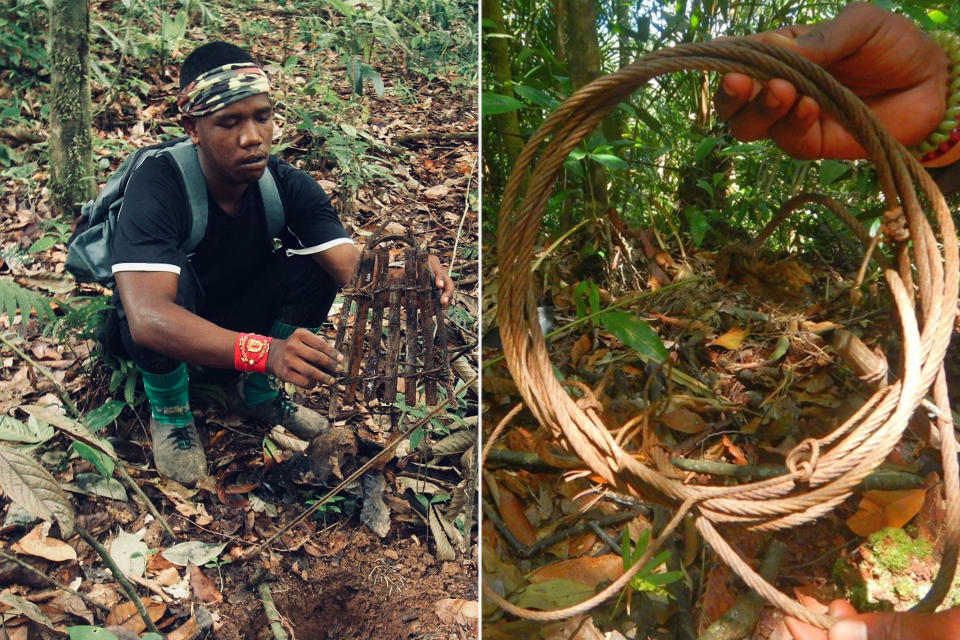 A member of an anti-poaching unit dismantling a snare, while another member shows off an old wire snare. Such traps often mean a slow, painful death for the animals indiscriminately caught in them. (PHOTOS: WWF Malaysia)