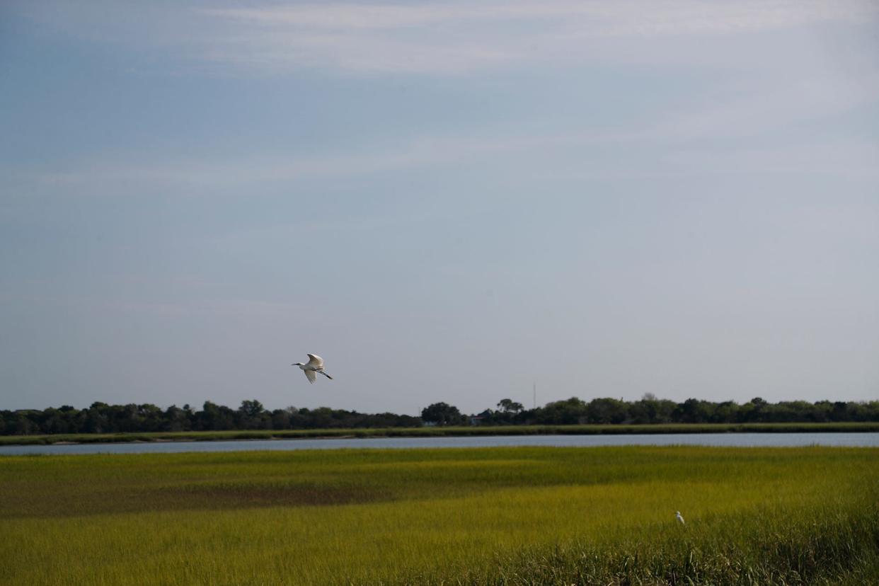 FILE: An egret flies over the marsh along the McQueen's Island Trail. Coastal Georgia's wetlands have long been protected by state and federal policy, but a Supreme Court case may make wetlands protections throughout the state weaker.