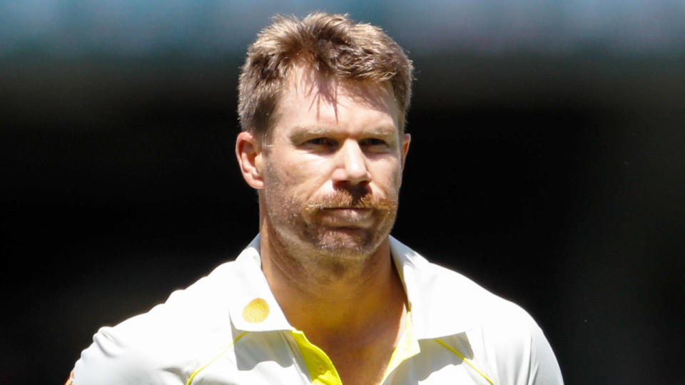 Seen here, David Warner walks back to the pavilion after being dismissed against the West Indies in Adelaide.