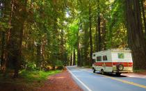 <p>With its 200 miles of hiking trails, itll be tempting to stay overnight in the park. But there are no hotels or park lodges here, so bring plenty of food and water and book backcountry permits or campgrounds well in advance,Litten advised.</p><p>People who show up in summertime without a plan will have a problem finding some place to sleep. He suggested reserving state campgrounds three to four months in advanceparticularly during the busy summer months. He'spersonally partial to <a rel="nofollow noopener" href="http://www.parks.ca.gov/?page_id=415" target="_blank" data-ylk="slk:Prairie Creek;elm:context_link;itc:0;sec:content-canvas" class="link ">Prairie Creek</a>, which is close to the parkway, has campground opportunities, biking, ranger programs" as well as an amphitheater during summer nights whererangers discuss the parks for 45 minutes around a campfire.</p>