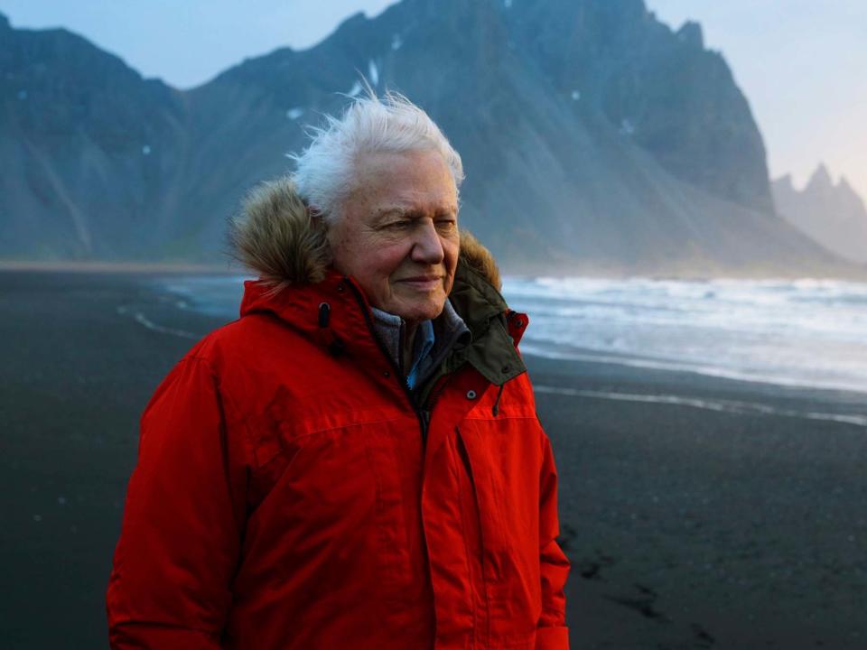 This image released by BBC America shows David Attenborough in Iceland: BBCAmerica/AP