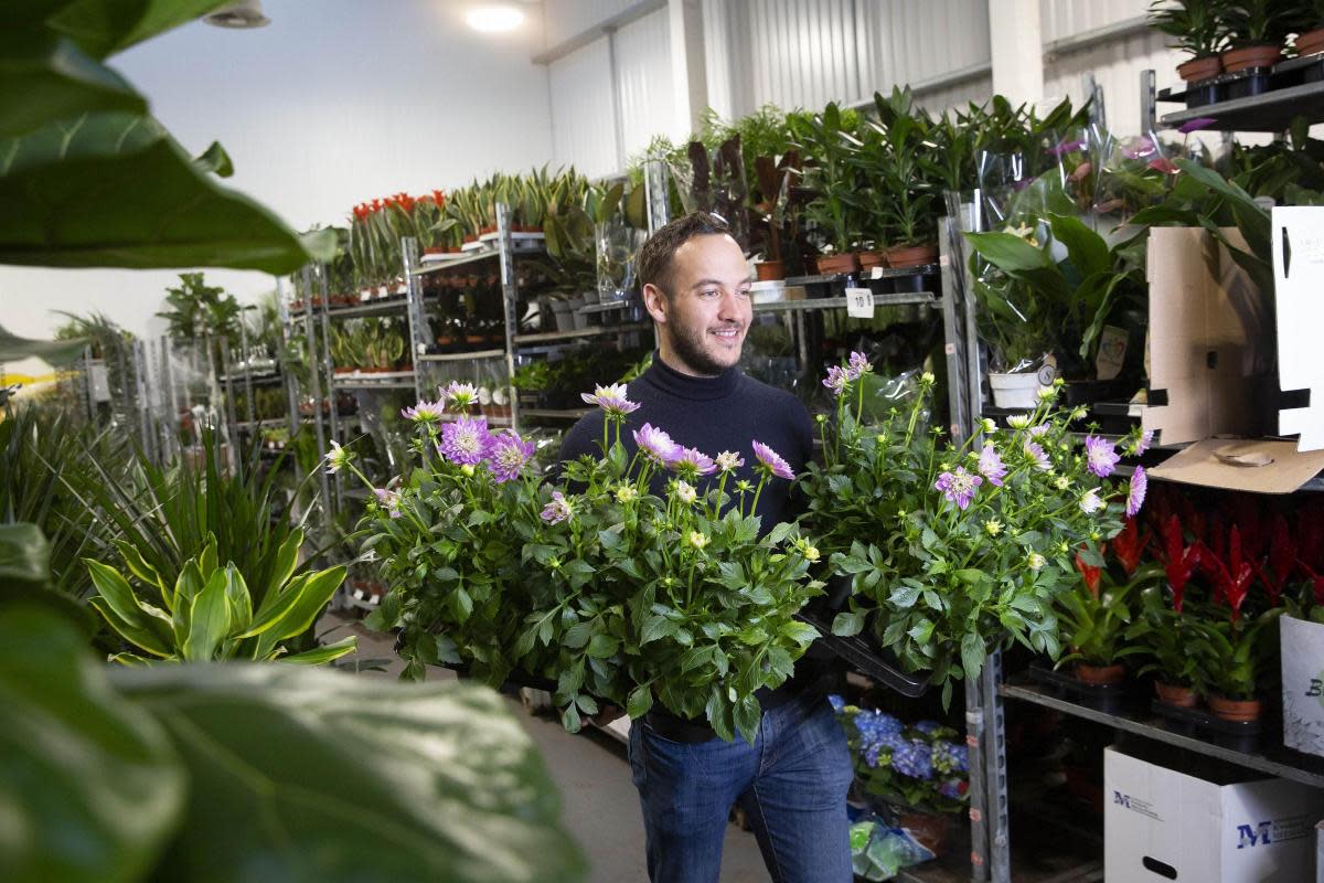 London based flower market wholesaler to launch regional hub in Lye <i>(Image: Green & Bloom)</i>