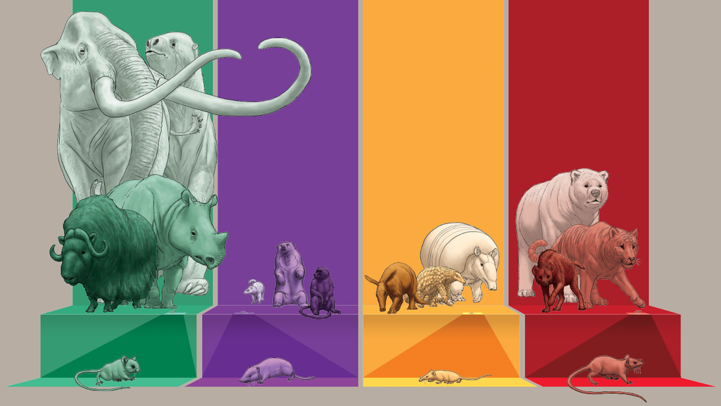 An illustration featuring mammalian herbivores (green), omnivores (purple), invertivores (yellow) and carnivores (red) (Julius Csotonyi / Nature Ecology and Evolution)