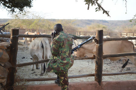 A Kenyan police officer talks on his mobile phone as he looks at cattle after he and his colleagues were deployed to guard Sosian ranch following the killing of Tristan Voorspuy a British co–owner of the Sosian ranch in the drought-stricken Laikipia region, Kenya, March 6, 2017. REUTERS/Stringer