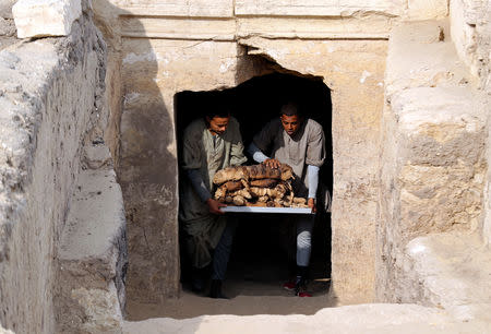 Workers carry mummified cats outside the tomb of Khufu-Imhat, at the Saqqara area near its necropolis, in Giza, Egypt November 10, 2018. REUTERS/Mohamed Abd El Ghany