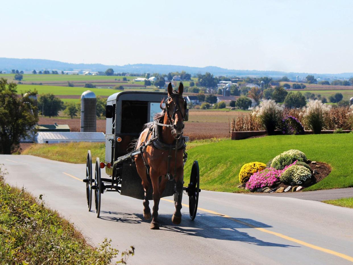 Pennsylvania Dutch Country Horse and Buggy