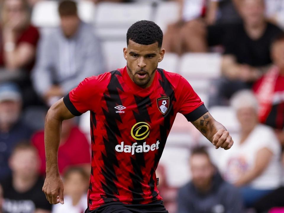 Bournemouth striker Dominic Solanke missed last weekend’s heavy loss at champions Manchester City (PA)