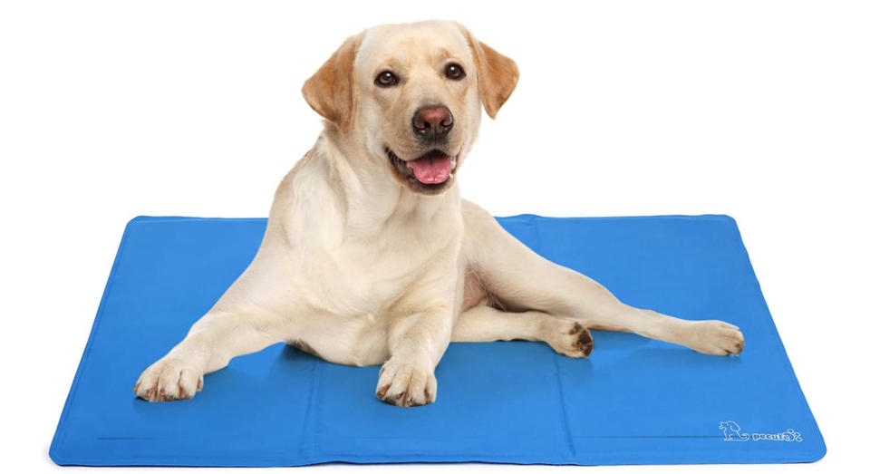 Pecute Dog Cooling Mat Large