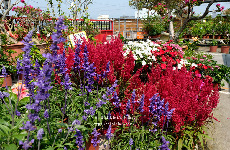 彰化芬園｜埔茂花市