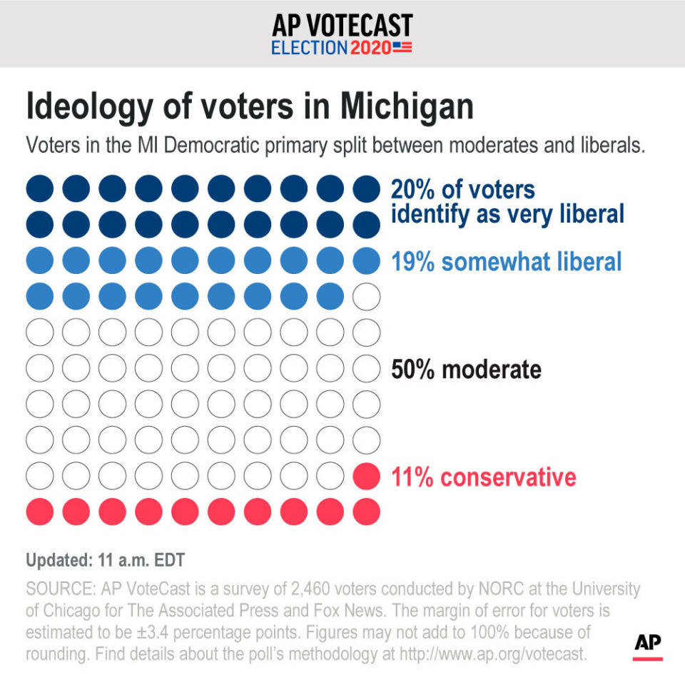 Voters in the M.I. Democratic primary split between moderates and liberals.;