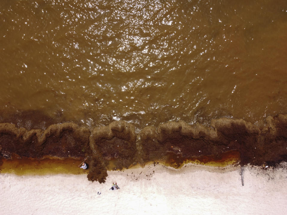 Sargassum seaweed colors the water brown and covers the beach in the Bay of Soliman, north of Tulum, Quintana Roo state, Mexico, where workers hired by local residents remove it by hand, Wednesday, Aug. 3, 2022. (AP Photo/Eduardo Verdugo)