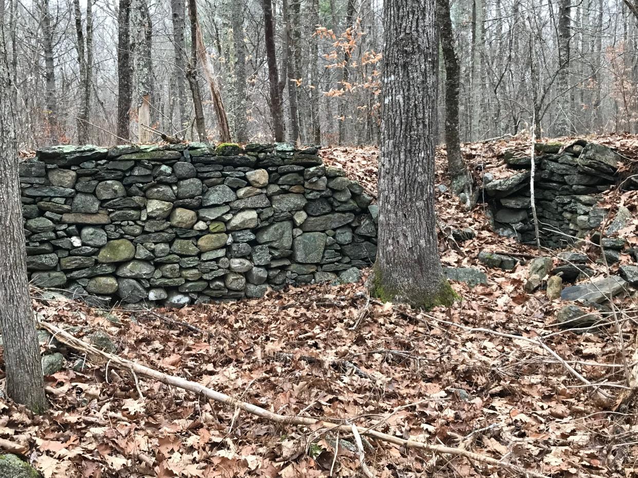 A three-sided foundation just off the red-blazed Cardinal Trail may have once been for a barn on a 19th-century farm.