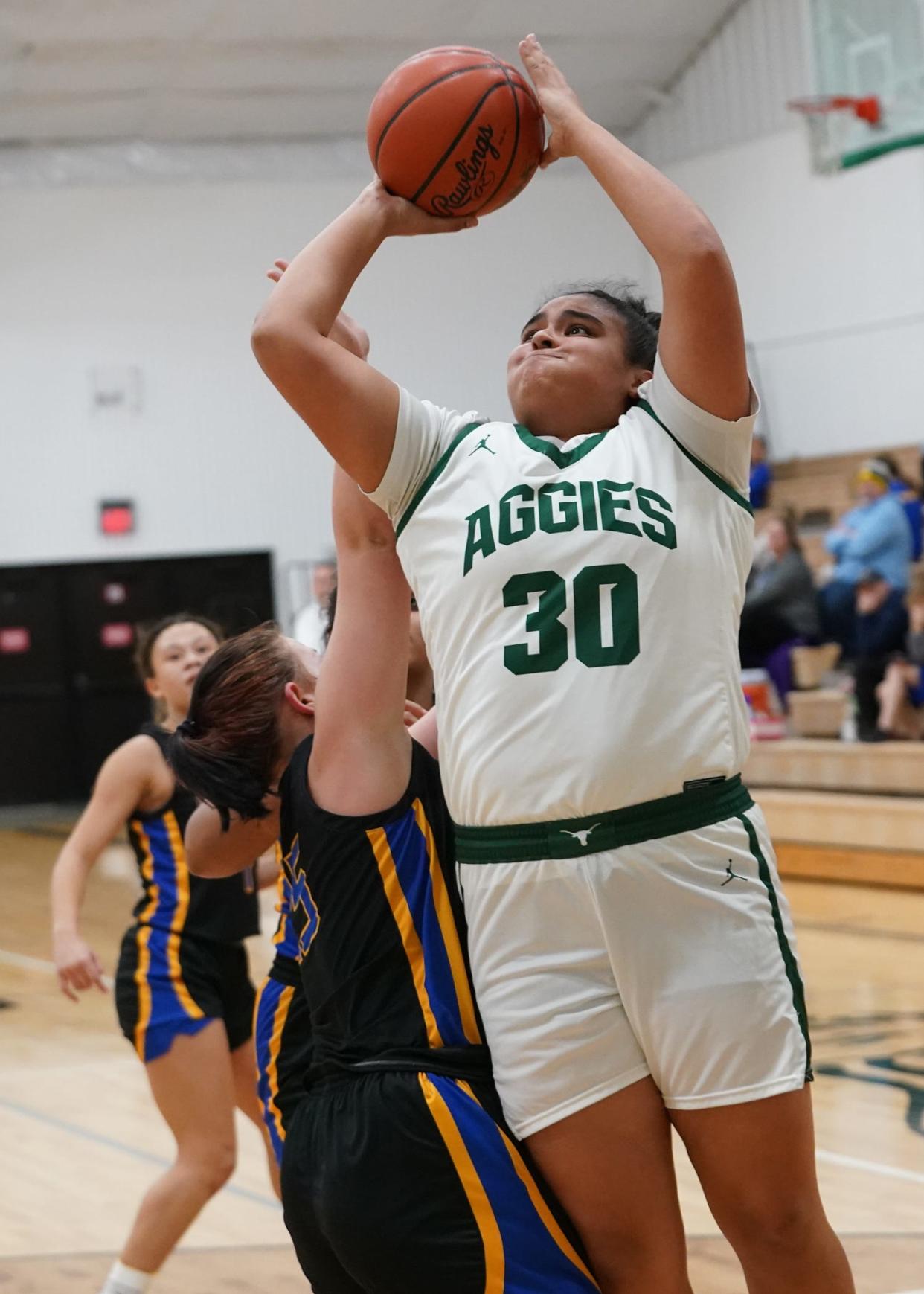 Sand Creek's Emily Carbajal goes up for a shot earlier this season. She reached 1,000 career points Saturday.