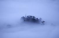 Sabah, Borneo, Malaysia. A thick blanket of fog creates ‘islands’ from the tallest trees. <br><br>Camera Canon EOS 1NRS <br><br>Thomas Endlein, Germany <br><br>Highly Commended, Exotic portfolio