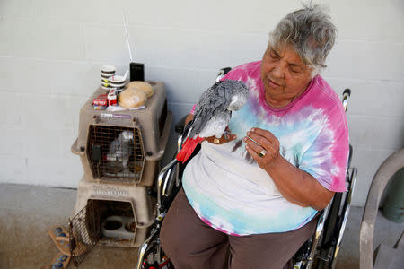 Linda Dee Souza, 72, of Kalapana-Seaview, sits with her two parrots at a Red Cross evacuation center in Pahoa during ongoing eruptions of the Kilauea Volcano in Hawaii, U.S., May 15, 2018. REUTERS/Terray Sylvester