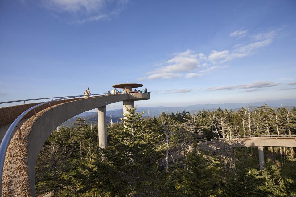 Clingman's Dome - Tennessee