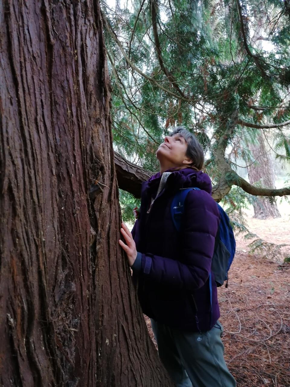 Treemenous fun: being in the woods can help releave anxietyPhilippa Bassett