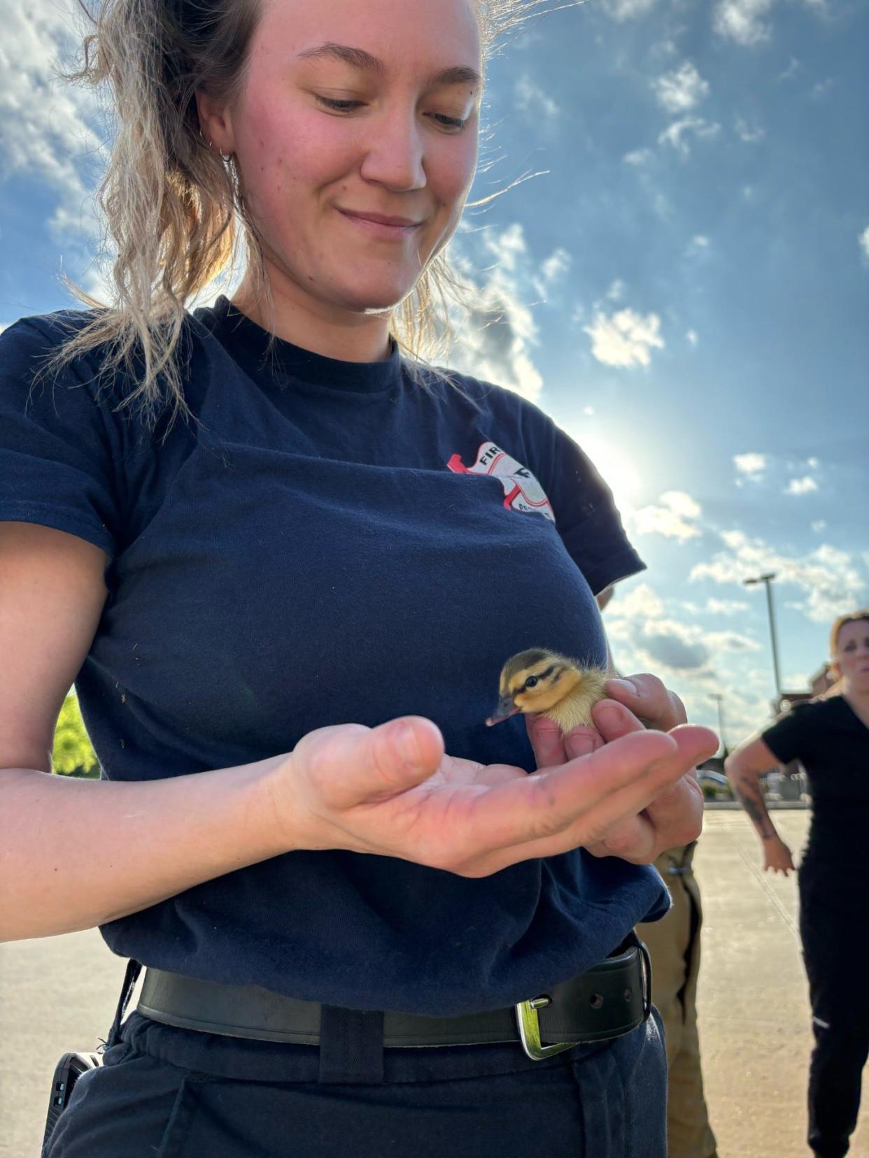 Hartville firefighters rescued 13 ducklings from a sewer on Wednesday.