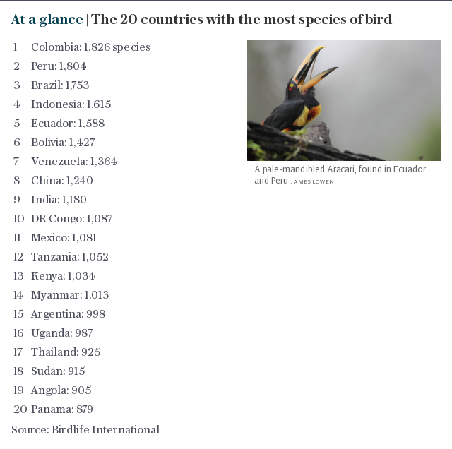 At a glance | The 20 countries with the most species of bird