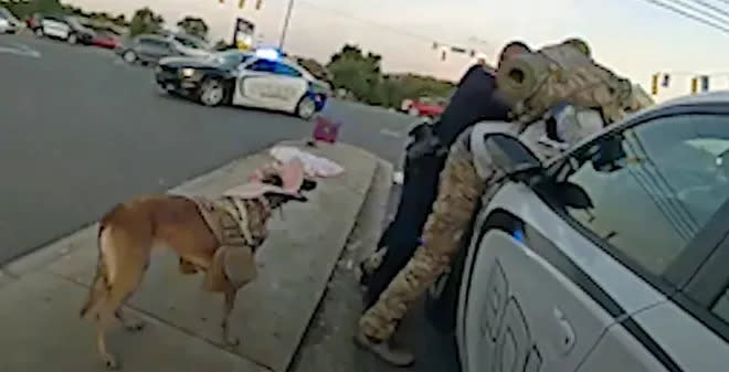 Joshua Rohrer is pinned against a police car by police during his arrest on Oct. 13.