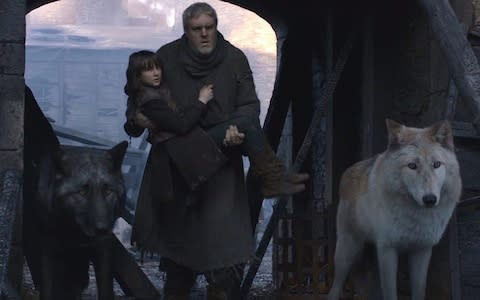 Bran's direwolf called Summer - Credit: HBO
