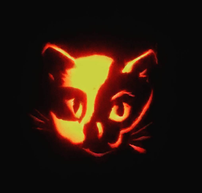 <p>@lee_moonchild</p><p>Boo! Scare the neighbors with this boo-tiful cat design.</p>