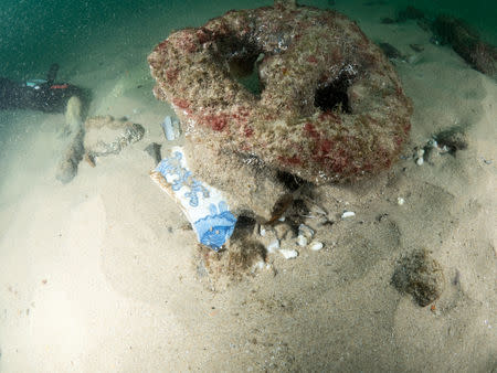 Divers are seen during the discovery of a centuries-old shipwreck, in Cascais in this handout photo released September 24, 2018. Augusto Salgado/Cascais City Hall/Handout via Reuters