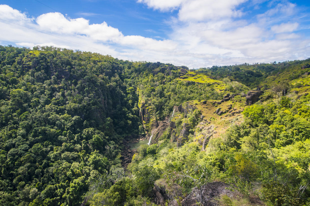 Weite Teile Papua-Neuguineas bestehen aus Regenwald. (Bild: ddp Images)