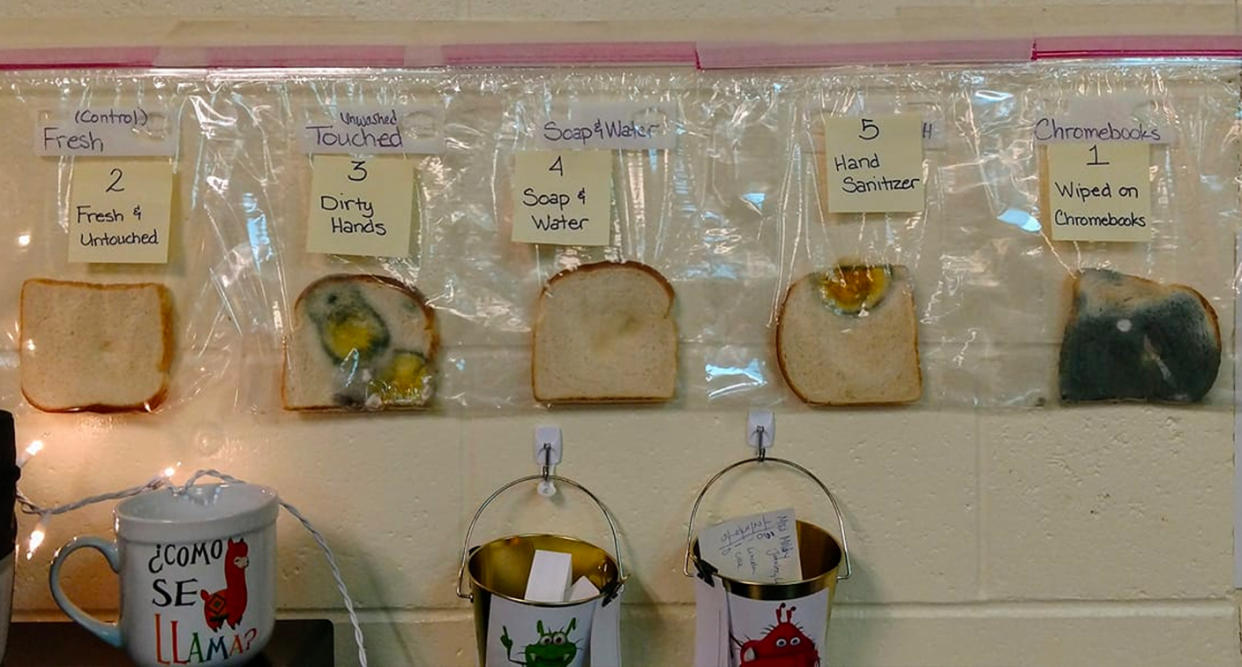 Teachers at an Idaho elementary school performed a science experiment with bread to show the importance of hand washing. (Photo: Jaralee Annice Metcalf)