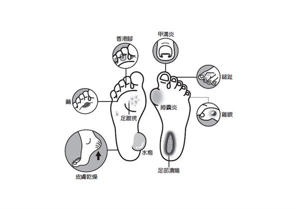 （圖片提供／三采文化）