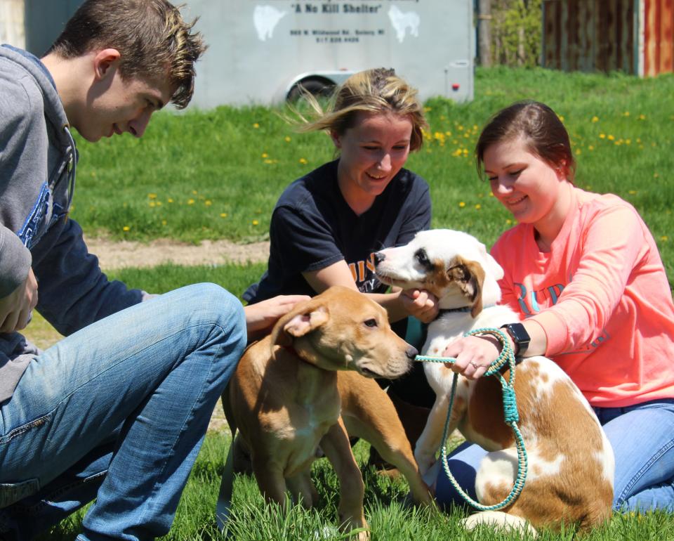 After QHS students Cody Woodward, Alison Turner and Sierra Parker accomplished assigned tasks at the Branch County Humane Society, they played with puppies.