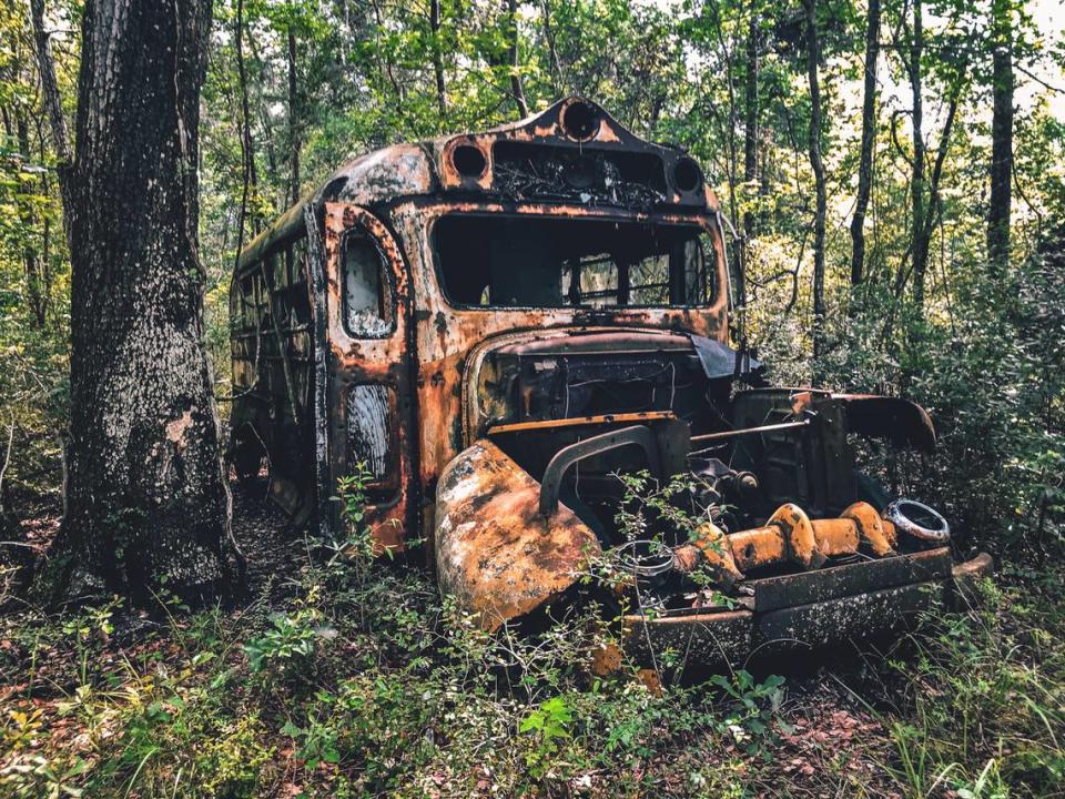 An abandoned 1952 Ford school bus sits among the live oaks along a stretch of the Edisto River near Colleton State Park. The curiosity and reminder of yesteryear is on private property but is easily viewed from the riverbank. Matt Richardson/Special to The Island Packet and Beaufort Gazette