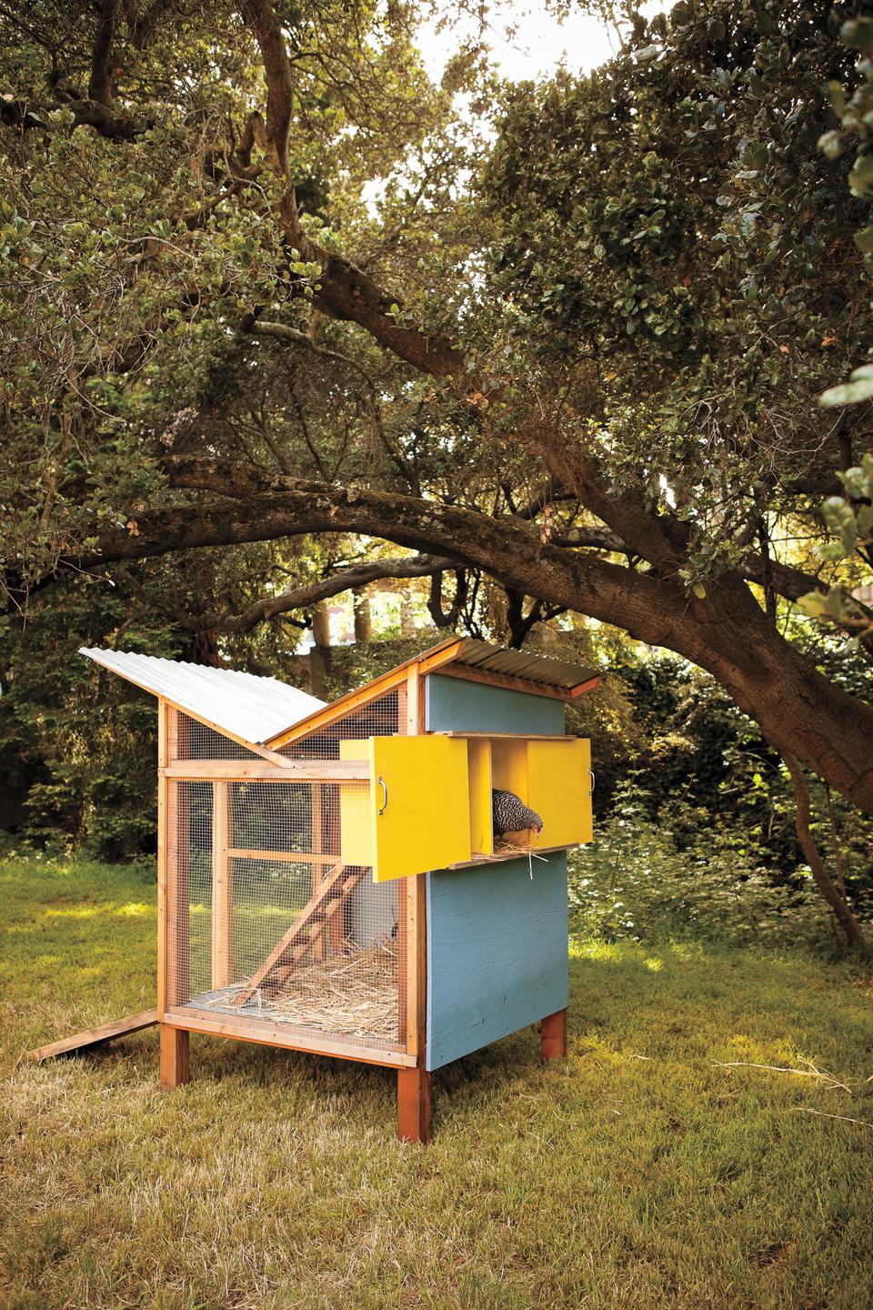 Check out these must-see designs for raising backyard chickens in style