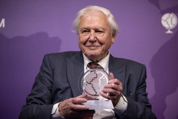 David Attenborough<p>Rob Pinney/Getty Images</p>