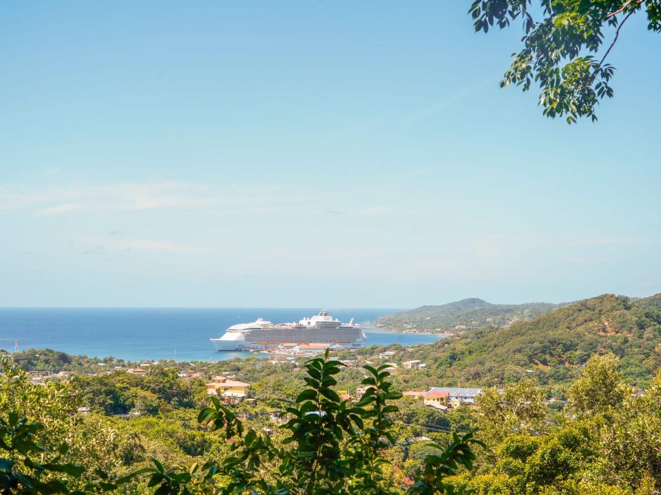 Cruise port in Honduras: plants eco park hike