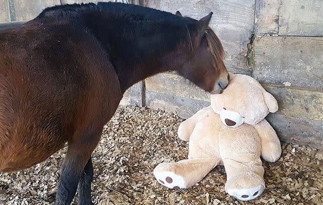 Breeze was seen adorably snuggling his childhood friend. Photo: Caters