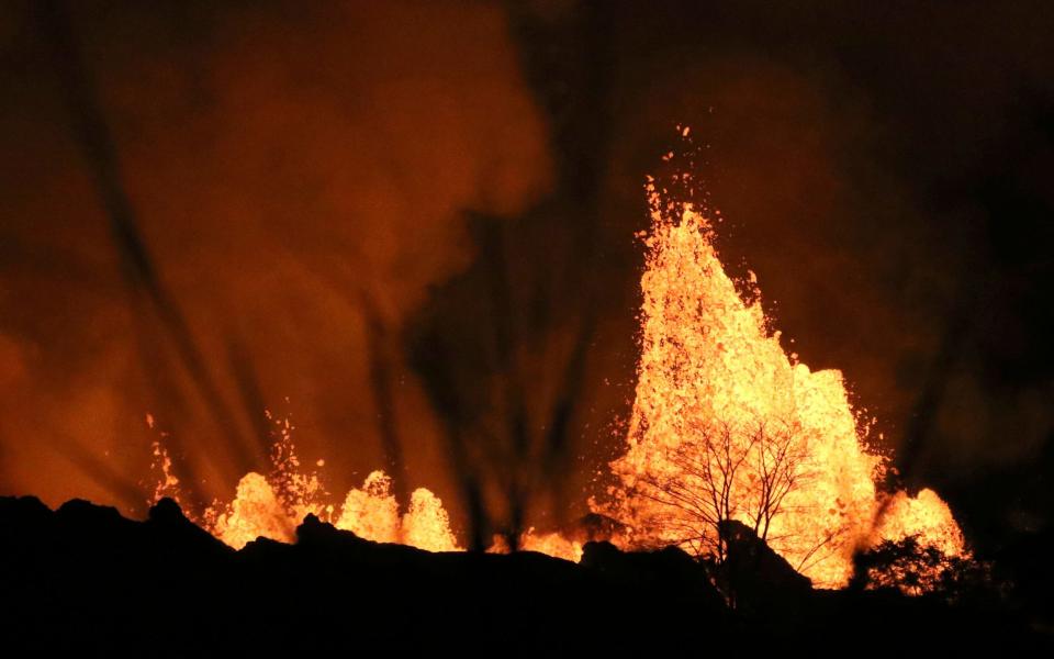 Lava explodes above a tree on Kilauea volcano near Pahoa, Hawaii - AP