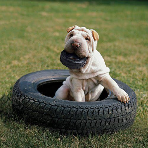 Give Your Dog a Tire (Toy)