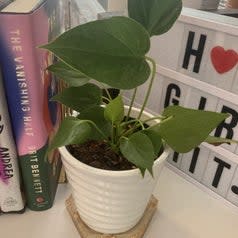 A potted plant next to some books.