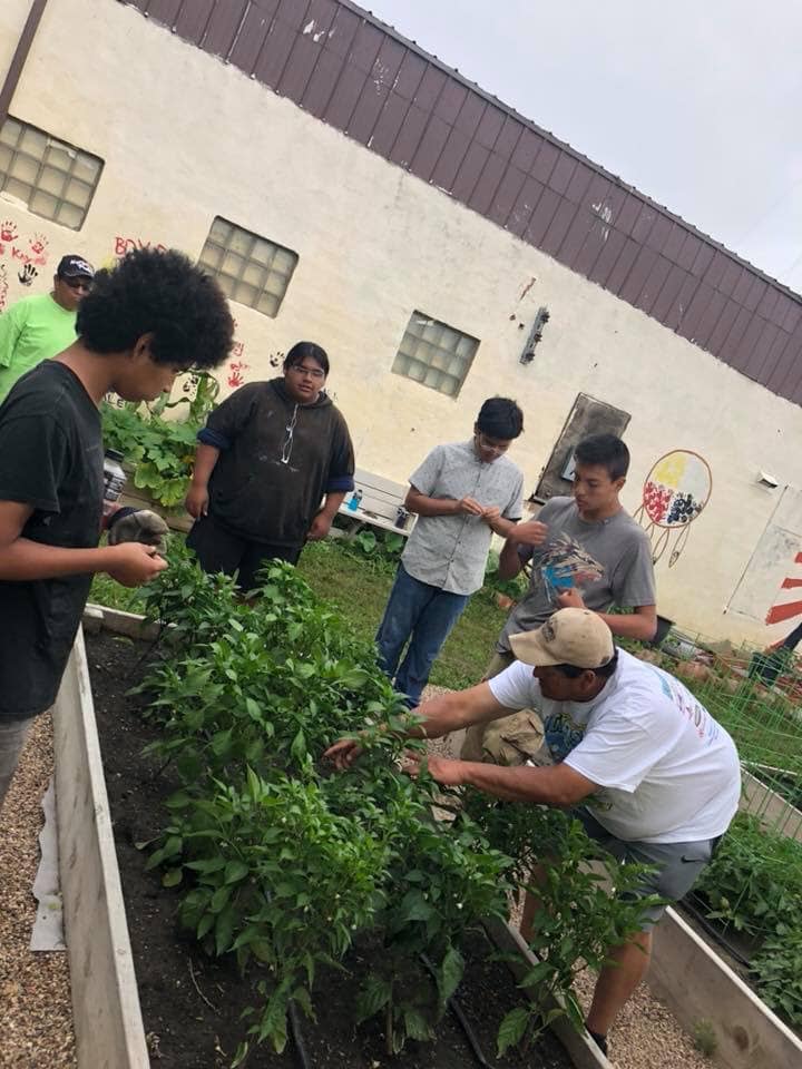 The children who attend the Boys & Girls Club of Standing Rock help tend to a summer garden where they learn about, and also consume, healthy vegetables.