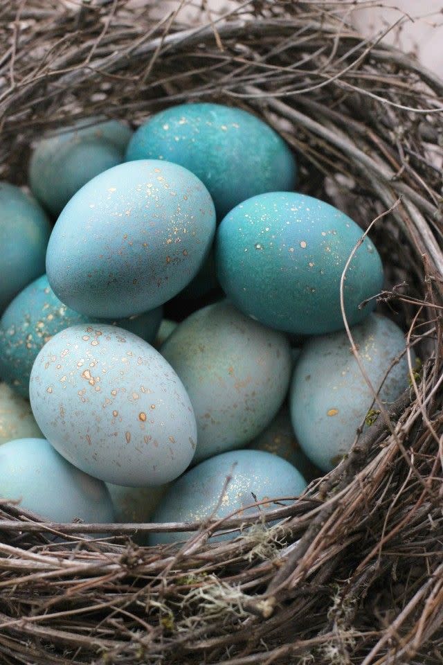 38) Dyed Robin's Egg Decor