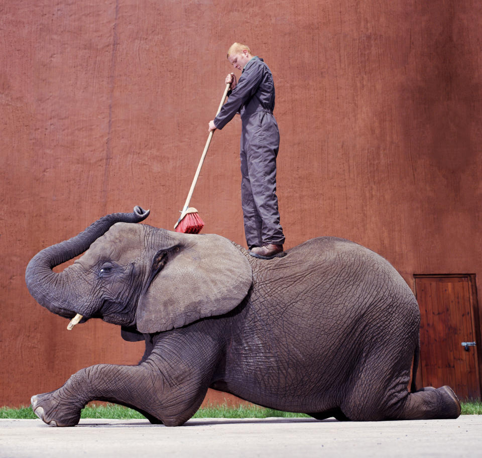 Verdienen Tierpfleger gut oder schlecht? (Symbolbild: Getty Images)