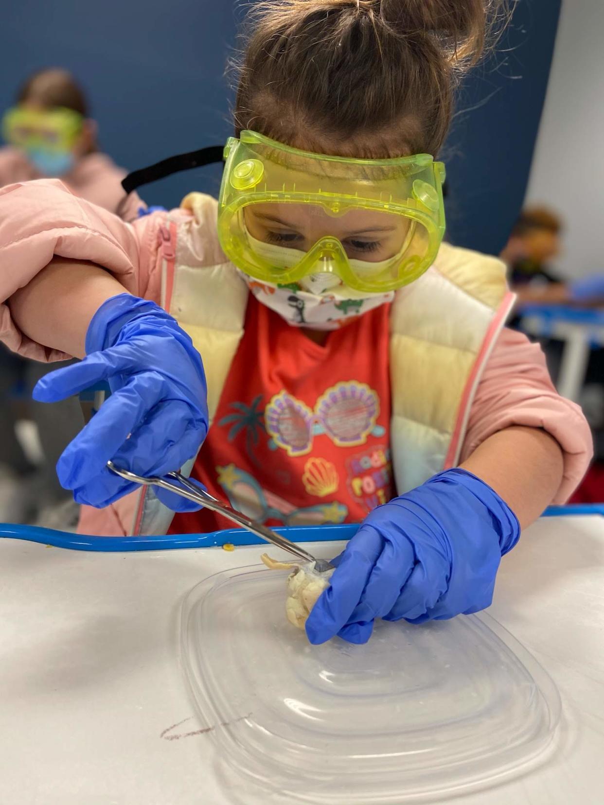Kids like Paisley Dunbar got hands-on experience in STEM education in Discovery School at the Center this past year. The Discovery Center is providing a variety of educational programs during the COVID-19 pandemic.