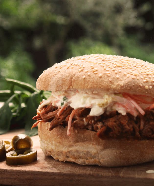 Pulled pork in barbecue sauce