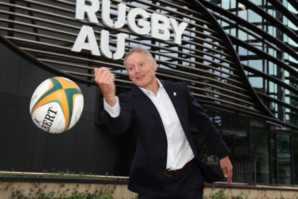 Appointed: Joe Schmidt will now take the Wallabies reins (Getty Images)
