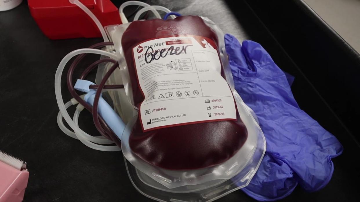 <div>Geezer's blood donation can help save three lives.</div>