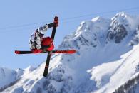 Nicholas Goepper of the U.S. performs a jump during the men's freestyle skiing slopestyle qualification round at the 2014 Sochi Winter Olympic Games in Rosa Khutor February 13, 2014. REUTERS/Dylan Martinez