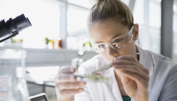 Focused scientist using tweezers in petri dish