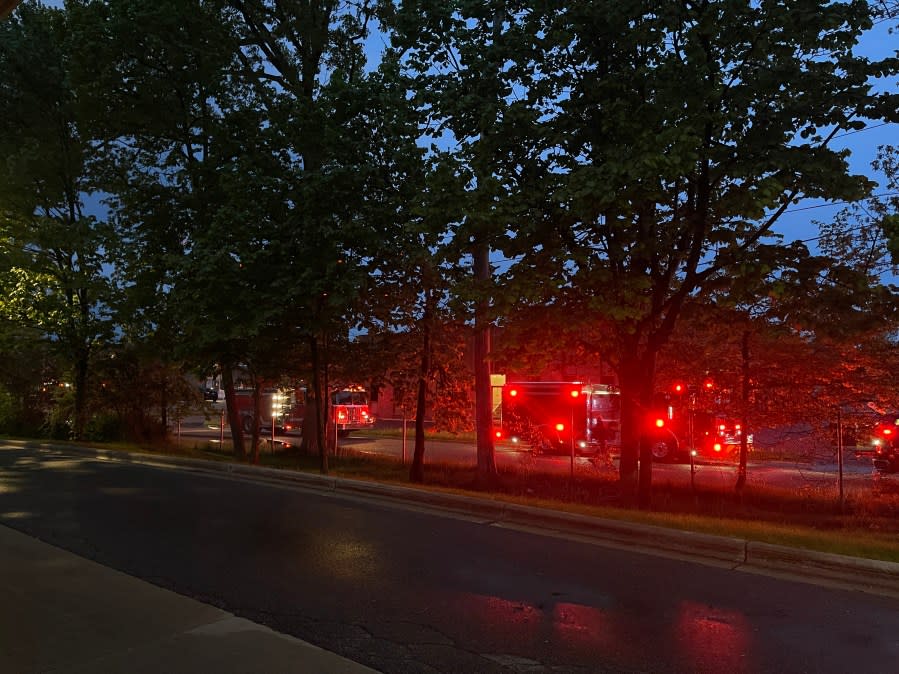 Lansing Fire Department battles a blaze on Appleton Ave. Saturday morning. (WLNS)